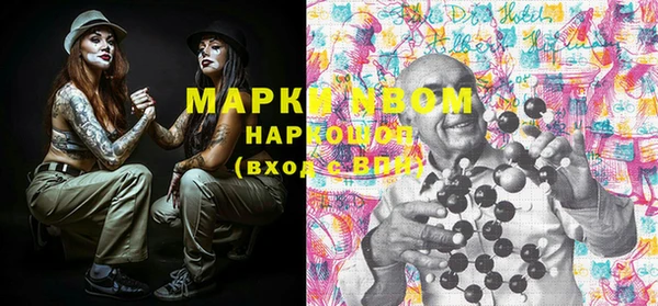 ПСИЛОЦИБИНОВЫЕ ГРИБЫ Баксан
