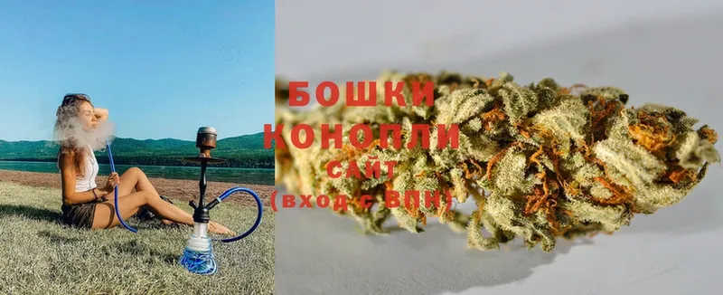 kraken как войти  наркотики  Белинский  Бошки марихуана OG Kush 